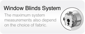 system